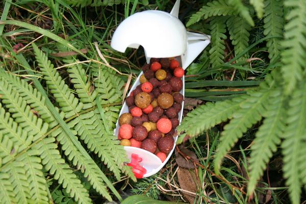 bile colorate - spomb-incarcat-cu-boiliesuri-cu-dimensiuni-si-arome-diferite.jpg